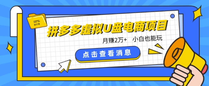 拼多多虛擬U盤電商紅利項(xiàng)目：月賺2萬+，新手小白也能玩