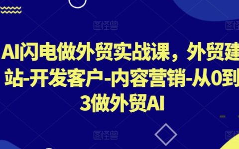 AI賦能外貿實戰課程：外貿建站、客戶開發、內容營銷，從零到三步精通外貿AI應用
