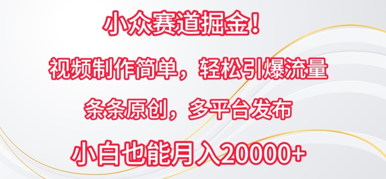 小眾賽道掘金，視頻制作簡單，輕松引爆流量，條條原創，多平臺發布【揭秘】