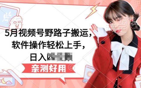 5月視頻號實戰(zhàn)搬運技巧：簡易軟件教學(xué)，實現(xiàn)日入百位數(shù)【詳細(xì)解讀】