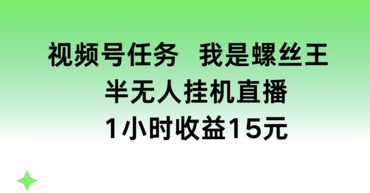 視頻號任務，我是螺絲王， 半無人掛機1小時收益15元【揭秘】