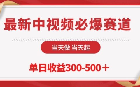 揭秘最新中視頻熱門賽道：當日操作當日見成效，單天收益可達300-500元【賺錢秘籍】