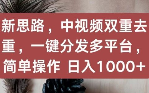 揭秘新中視頻策略：雙重去重技巧，一鍵多平臺分發，簡單操作實現日入1000+！