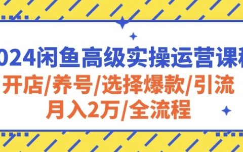 2024年閑魚高級實操運營課程：從開店到月入2萬，全面掌握養號、爆款選擇、引流等技巧