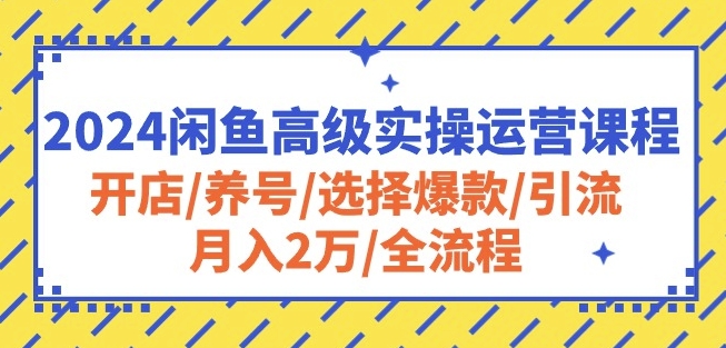 2024閑魚高級實操運(yùn)營課程：開店/養(yǎng)號/選擇爆款/引流/月入2萬/全流程