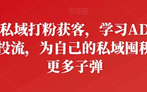 私域流量打粉獲客實(shí)戰(zhàn)課程：廣告投放學(xué)習(xí)，增加私域囤積彈藥策略