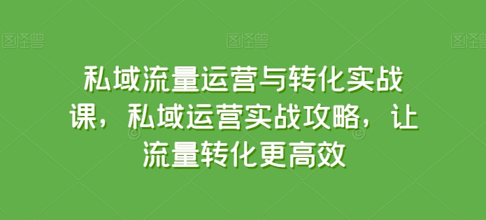私域流量運營與轉(zhuǎn)化實戰(zhàn)課，私域運營實戰(zhàn)攻略，讓流量轉(zhuǎn)化更高效
