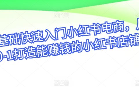 小紅書電商入門教程，零基礎快速打造盈利店鋪，從新手到專家的躍遷之路