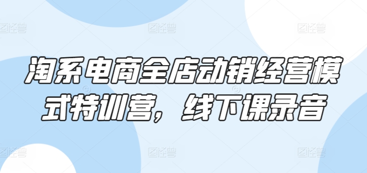 淘系電商全店動銷經(jīng)營模式特訓(xùn)營，線下課錄音