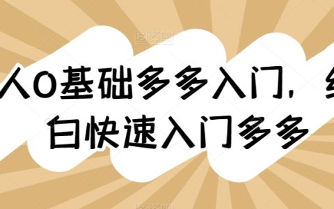 零基礎(chǔ)新手指南：全方位快速上手拼多多電商運(yùn)營