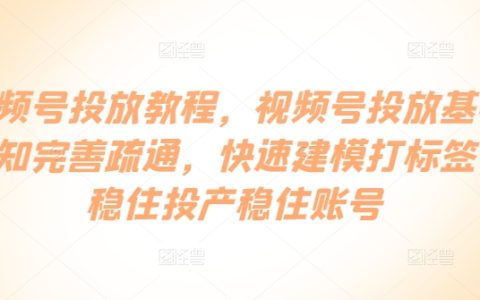 視頻號(hào)廣告投放實(shí)操指南：構(gòu)建精準(zhǔn)標(biāo)簽?zāi)Ｐ?，保障賬號(hào)穩(wěn)定投放與產(chǎn)出