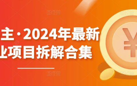2024年黃島主最新副業(yè)項(xiàng)目解析大全【無水印版本】