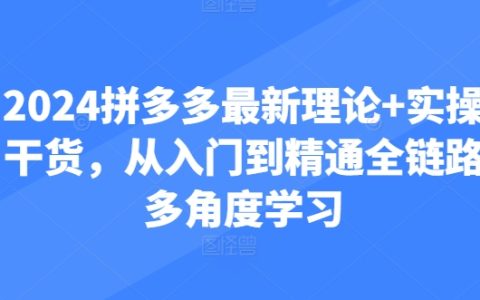 2024 拼多多全新理論與實操干貨，從入門至精通的全鏈路多角度探秘！