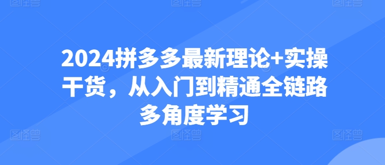 2024拼多多最新理論+實操干貨，從入門到精通全鏈路多角度學習