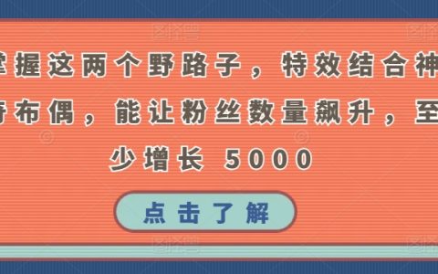 掌握特效與神奇布偶的結合技巧，粉絲數量至少增長5000！這些野路子讓你脫穎而出！