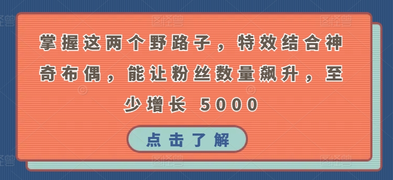 掌握這兩個野路子，特效結合神奇布偶，能讓粉絲數量飆升，至少增長 5000【揭秘】