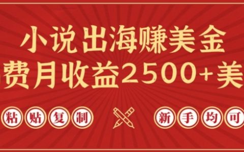 小說出海賺美金，稿費月收益2500+美金，僅需chatgpt粘貼復制，新手也能玩轉【揭秘】