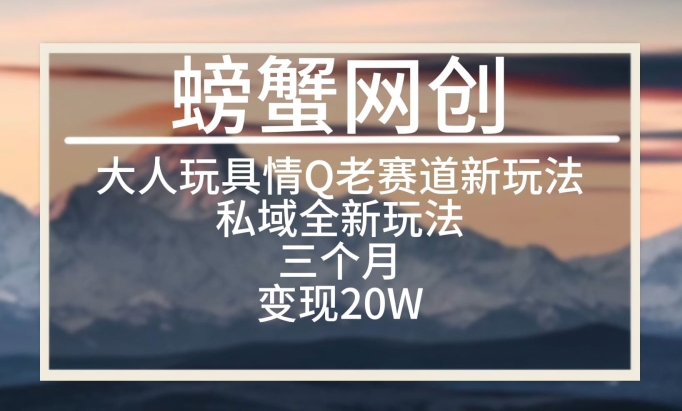 大人玩具情Q用品賽道私域全新玩法，三個月變現20W，老項目新思路【揭秘】