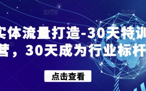 實體店引流特訓營：30天快速打造行業影響力，突破經營瓶頸