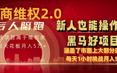 電商維權4.0版本月入5萬+秘籍，每日僅需1小時，新手快速入門指南【獨家曝光】