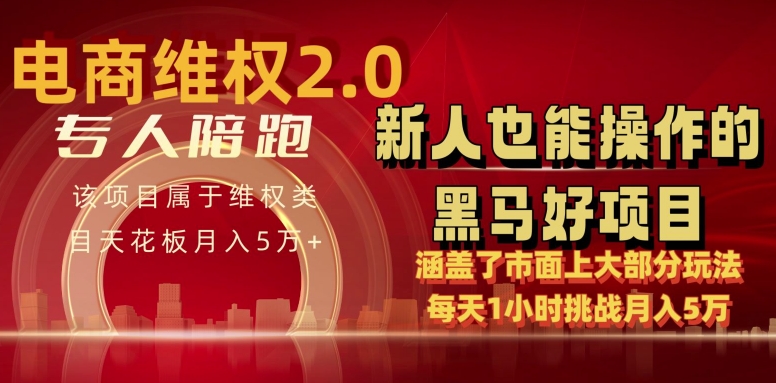 電商維權 4.0 如何做到月入 5 萬+每天 1 小時新人也能快速上手【僅揭秘】