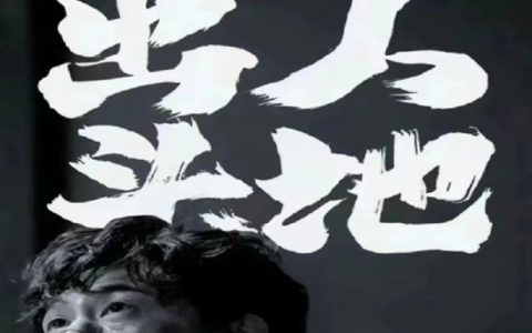 綠色聊天項目：長期穩定收益，打造你的財富管道