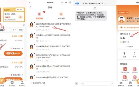 兼職簡歷投遞日賺10-20元：輕松賺錢的方法解析