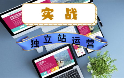 揭秘獨立站運營項目：日IP量1600+，年賺百萬，五個關鍵點讓你輕松上手！