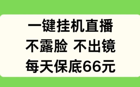 一鍵掛機直播秘籍：無需露臉出境，日賺保底 66 元