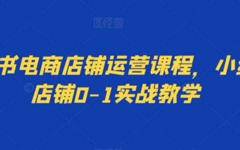 小紅書電商入門實戰寶典：手把手教你從零起步打造熱門店鋪