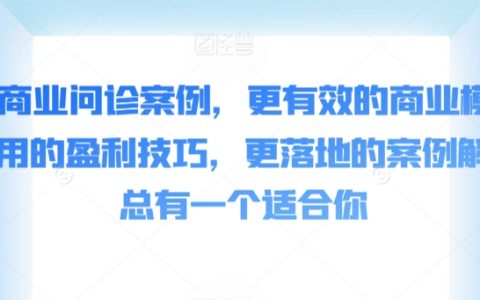 精選50例商業(yè)診斷案例：高效盈利模式與實(shí)戰(zhàn)技巧解析，助您找到最適合的商業(yè)模式