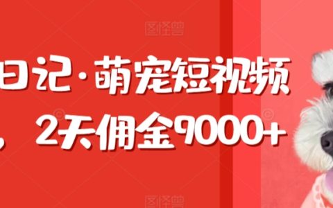 東哲日志：兩天內(nèi)萌寵短視頻狂攬9000傭金，揭秘帶貨高傭金秘籍