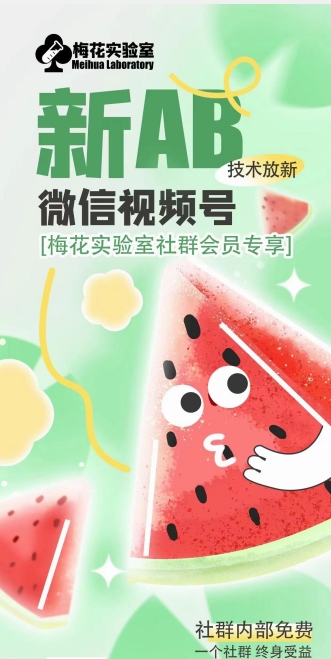 梅花實驗室2024年AB技術視頻號AB合成破解版