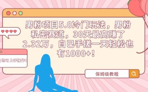 男粉項(xiàng)目5.0冷門策略揭秘：私密賽道30天盈利2.32萬，每日輕松收入1000+【實(shí)戰(zhàn)解析】