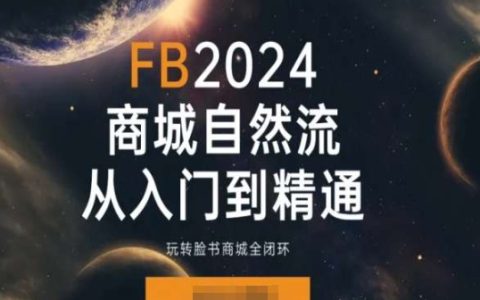 2024年Facebook商城實(shí)戰(zhàn)教程：入門(mén)精通全閉環(huán)營(yíng)銷策略