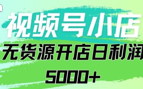 零基礎(chǔ)開啟視頻號無貨源電商，日破千單，穩(wěn)定月賺五千+，實(shí)操攻略大公開