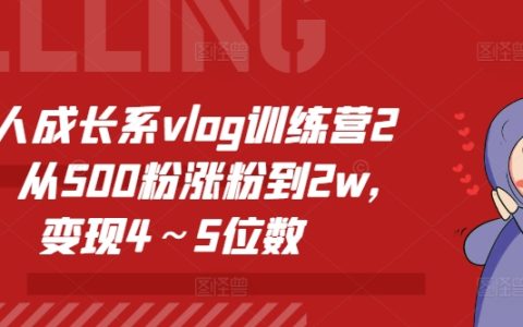 個人成長Vlog實戰營第2期：500粉絲到2萬粉絲攻略，實現月入數千元變現秘籍