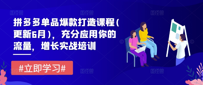 拼多多單品爆款打造課程(更新6月)，充分應用你的流量，增長實戰培訓