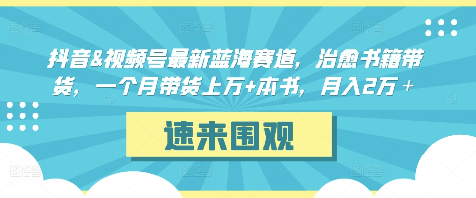 抖音&視頻號最新藍海賽道，治愈書籍帶貨，一個月帶貨上萬+本書，月入2萬＋【揭秘】