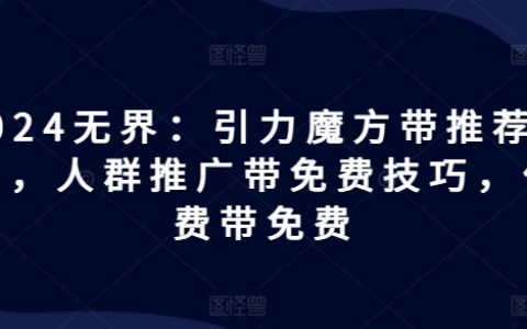 2024無界：引力魔方創新玩法指南，精準人群推廣策略，付費引流技巧揭秘，實現成本優化