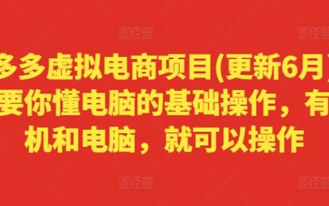 【2024年最新版】零基礎電腦操作，拼多多虛擬電商項目實戰指南手機電腦兩不誤