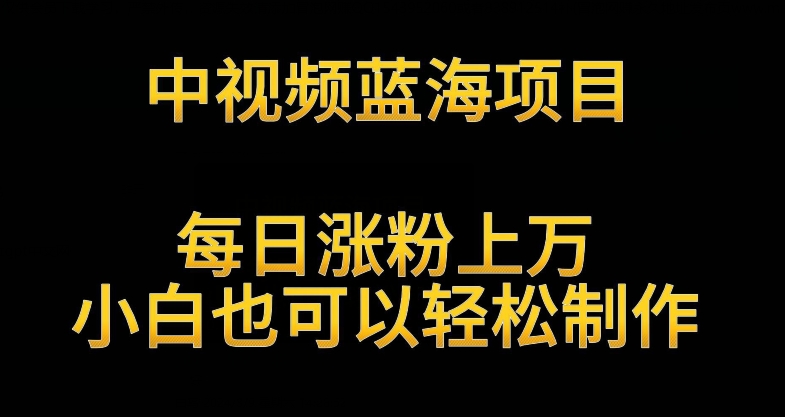中視頻藍海項目，解讀英雄人物生平，每日漲粉上萬，小白也可以輕松制作，月入過萬不是夢【揭秘】