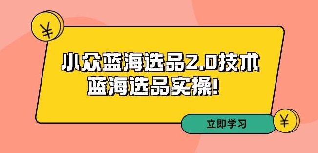 拼多多培訓(xùn)第33期：小眾藍(lán)海選品2.0技術(shù)-藍(lán)海選品實(shí)操！