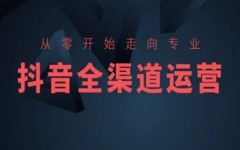 抖音運營入門到精通：全方位渠道攻略與電商實戰培訓，打造個人抖音店鋪盈利新模式