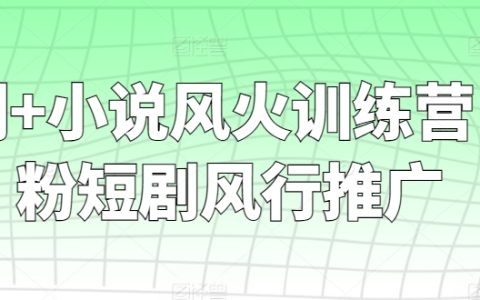 零粉絲起步，短劇小說風華訓練營——快速走紅推廣策略全解