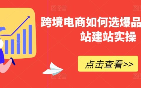 跨境電商爆品精選秘籍及獨立站建站實戰(zhàn)指南