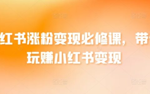 小紅書快速增粉與變現核心教程：手把手教你玩轉小紅書盈利