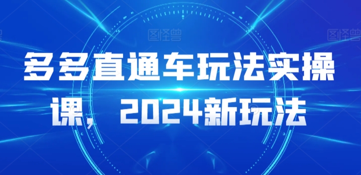 多多直通車玩法實操課，2024新玩法