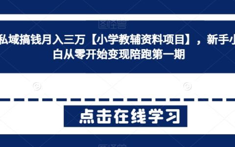 新手入門：零基礎打造私域流量，月入三萬的策略與實操——小學教輔資料項目啟動計劃