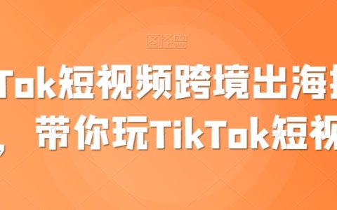 TikTok短視頻跨境營銷攻略：輕松賺取美金，手把手教你玩轉TikTok短視頻